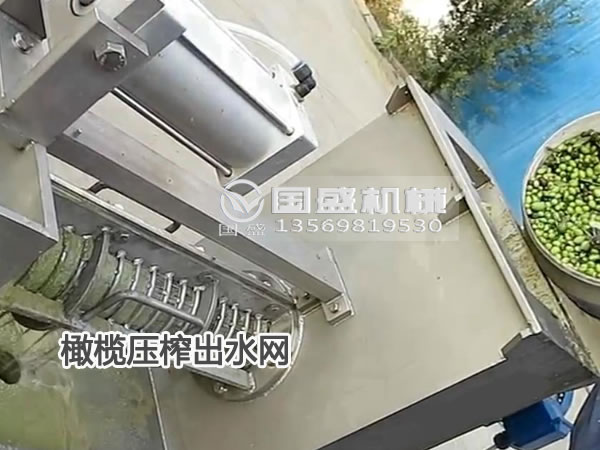 91麻豆精品网站橄榄脱水机