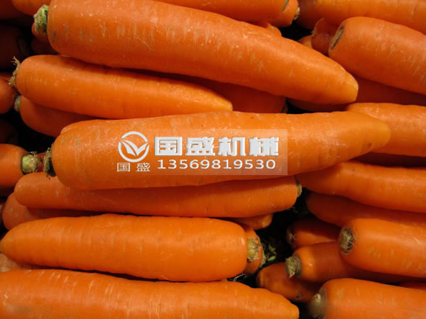 91麻豆精品网站胡萝卜脱水挤压机 91麻豆精品网站胡萝卜脱水挤压机