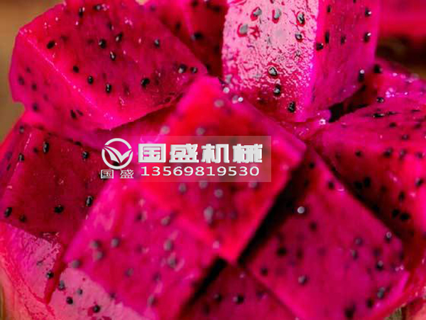 91麻豆精品网站火龙果挤压脱水设备