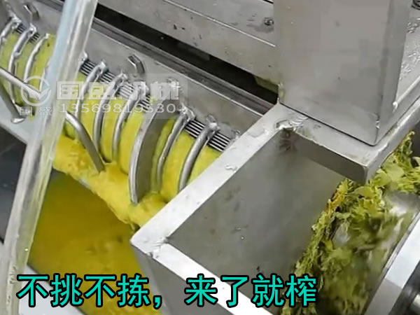 橘子皮压榨机 橘子皮压榨机