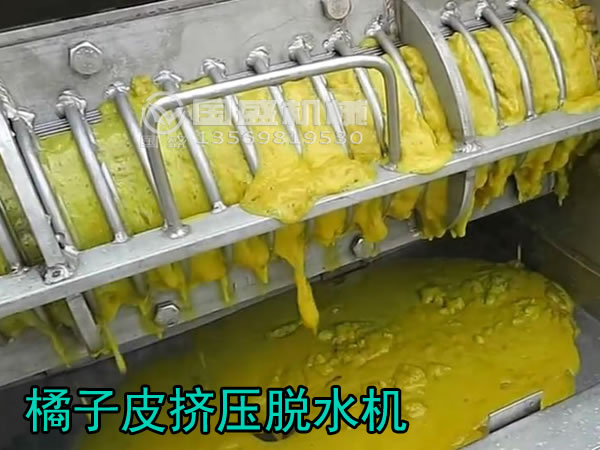 橘子皮渣压榨机 橘子皮渣压榨机