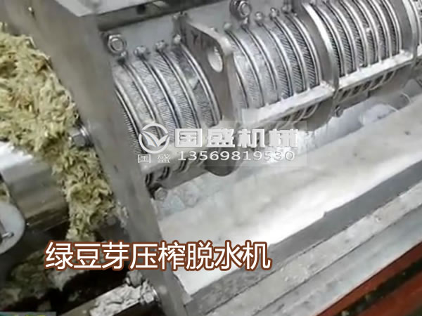 91麻豆精品网站绿豆芽压榨机